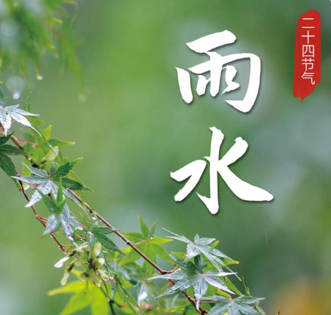 【山东桓艺数控】雨水丨一年春好处，风雨送春归